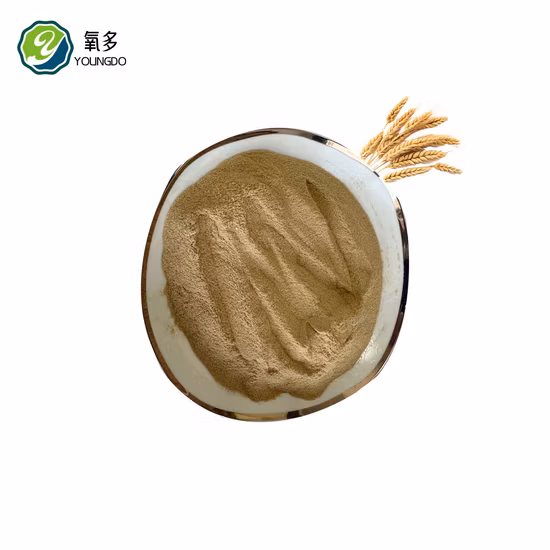 Poudre d'extrait de levure de qualité alimentaire à haute teneur en protéines