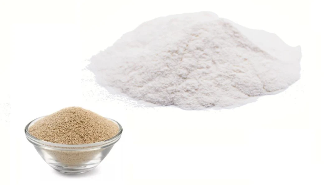 High Quality Natural Food Additives Beta Glucan From Yeast with ISO Certificate